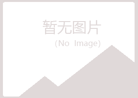 尉氏县夜山会计有限公司